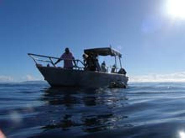 Dolphin Bay Divers Retreat Hotel Vatolotolo Bagian luar foto